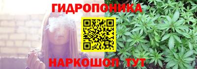 ПСИЛОЦИБИНОВЫЕ ГРИБЫ Тара